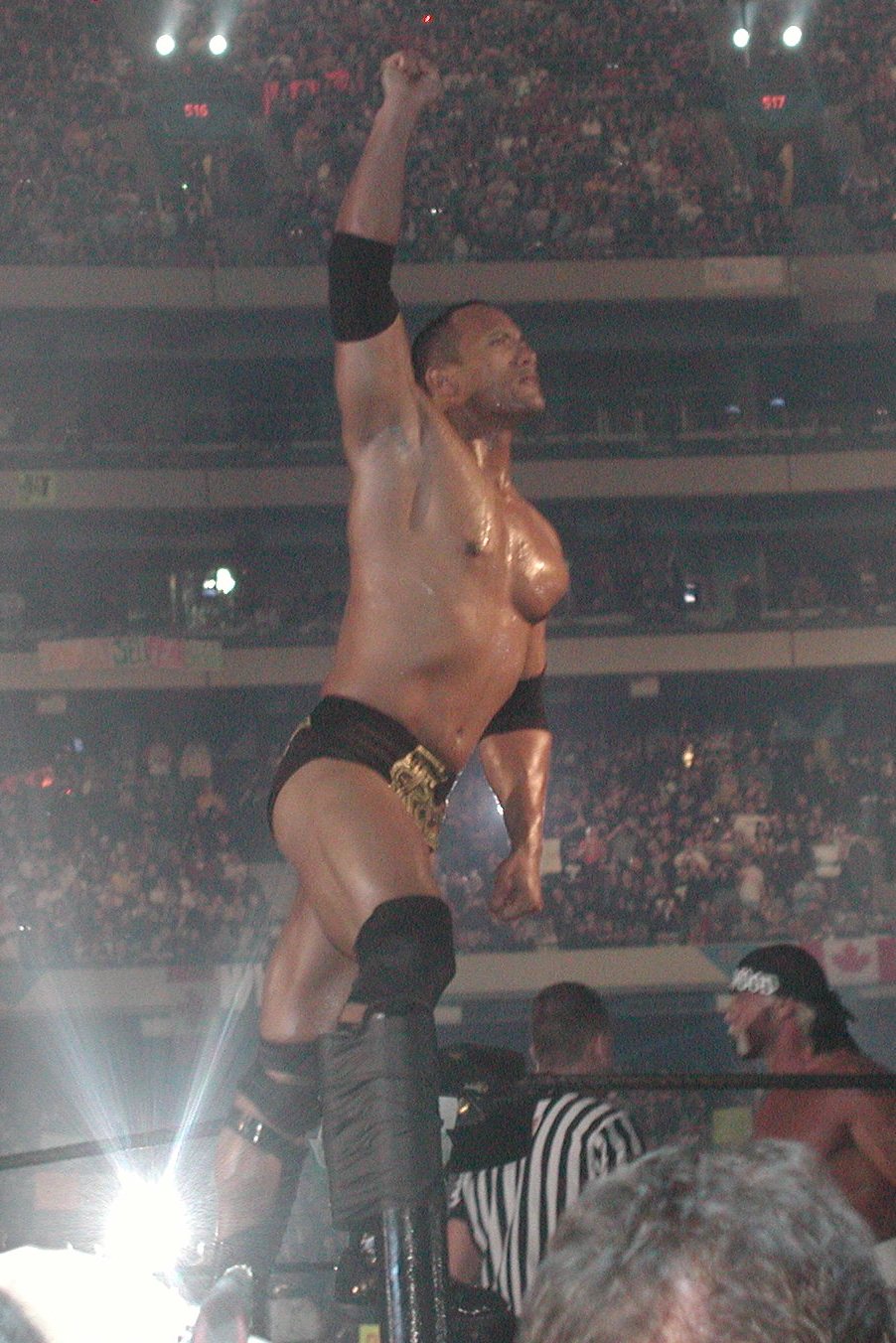 tHE ROCK.jpg